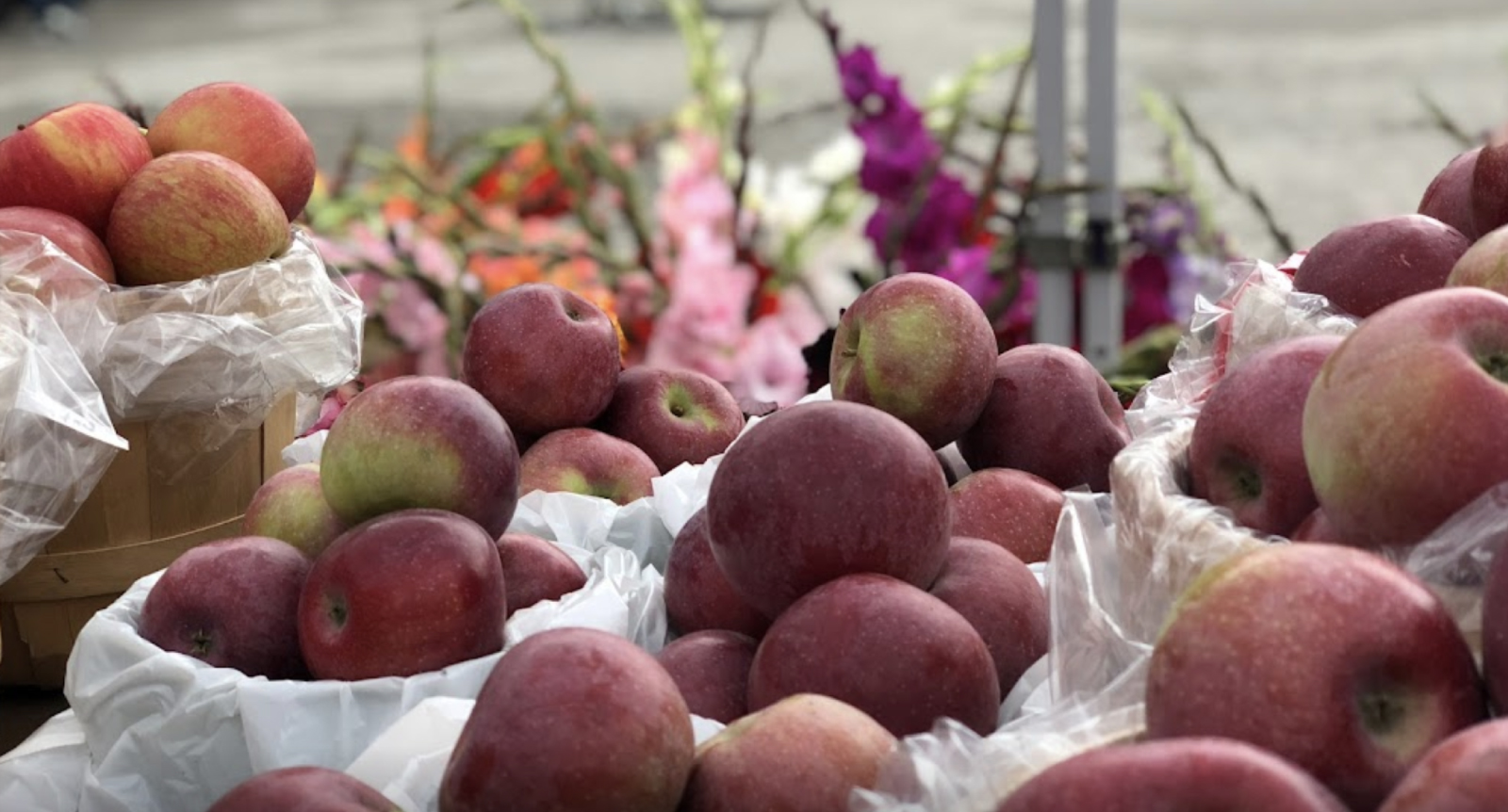 Photograph of apples at farmers' market.